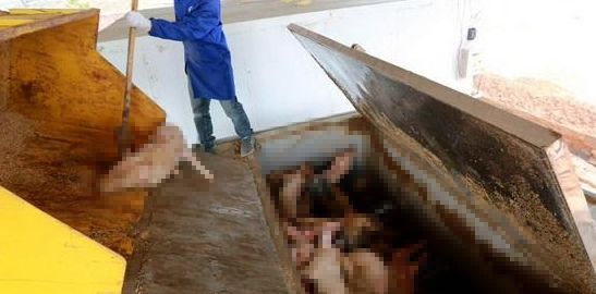 潔匠凈化·的凈工業除臭劑_動物無害化處理廠，惡臭異味危害大，工業除臭劑起作用！