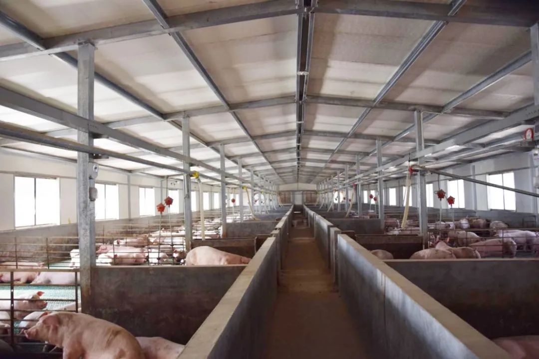 782c008543ab611cb15607afe8534198.jpg 782c008543ab611cb15607afe8534198.jpg