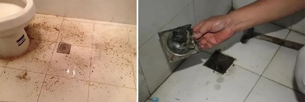 家里衛(wèi)生間老有異味,潔匠凈化教您如何解決難聞的臭味.jpg 家里衛(wèi)生間老有異味,潔匠凈化教您如何解決難聞的臭味.jpg