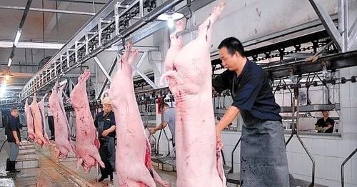 屠宰場臭氣影響周邊環境?解決辦法在這里.jpg 屠宰場臭氣影響周邊環境?解決辦法在這里.jpg